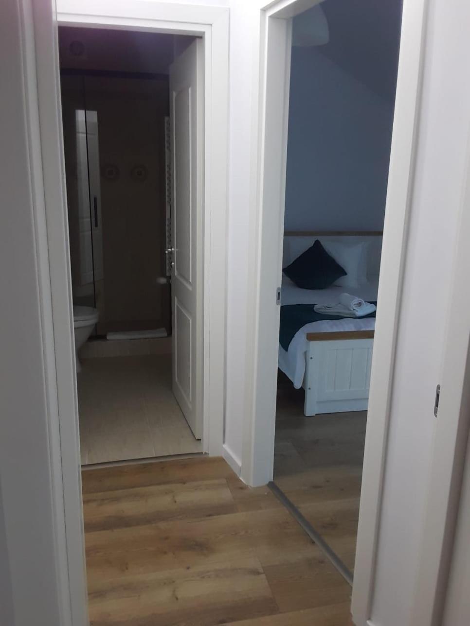 Pensiunea Dunavis Orsova Bagian luar foto