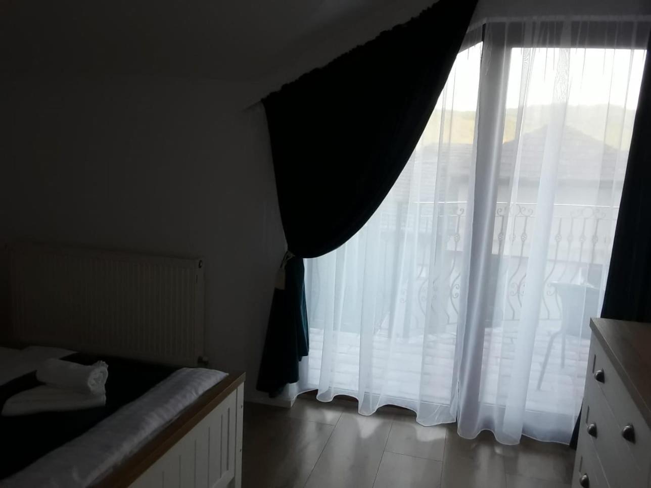 Pensiunea Dunavis Orsova Bagian luar foto