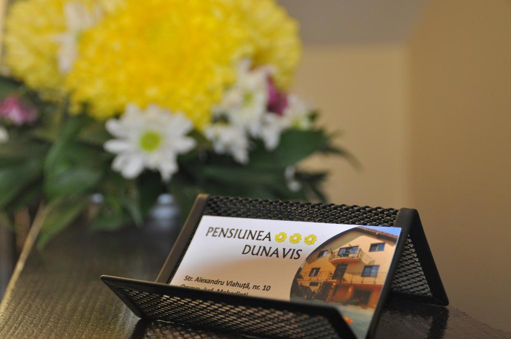 Pensiunea Dunavis Orsova Bagian luar foto