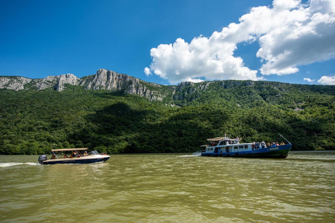 Pensiunea Dunavis Orsova Bagian luar foto